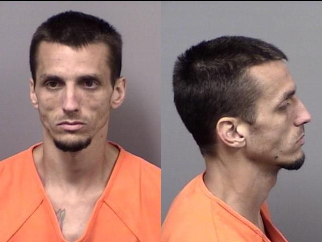 Tyler Taylor arrested Aug. 1 for felony petit theft.